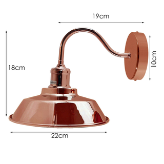 Rose Gold Wall Mounted Light Wall Sconces Lamp Fixture Light~1742 - Giant Lobelia