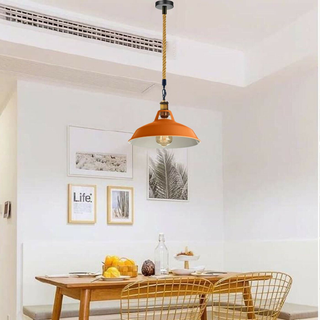 Industrial Modern Retro Vintage Style Ceiling Pendant Light Chandelier Lampshade~1129 - Giant Lobelia