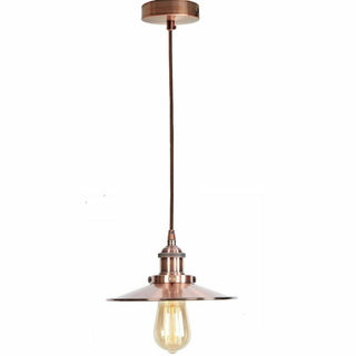 Vintage Industrial Metal Ceiling Pendant Light Shade Modern Hanging Retro Light~2166 - Giant Lobelia