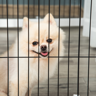 PawHut Freestanding Pet Gate 4 Panel Wooden Dog Barrier Foldable Safety Fence with Support Feet 264cm Long 77cm Tall for Doorway Stairs White - Giant Lobelia