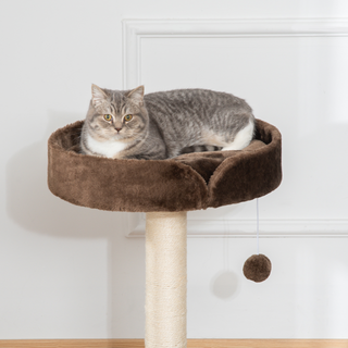 PawHut Small Cat Tree for Indoor Cats with Sisal Scratching Post Kitten Bed Cushion Ball Toy, Brown, 45x45x70 cm - Giant Lobelia