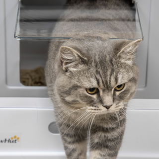 PawHut Hooded Cat Litter Box, Portable Pet Toilet w/ Tray, Scoop, Front Entry, 47.5 x 35.5 x 36.7cm - Grey - Giant Lobelia