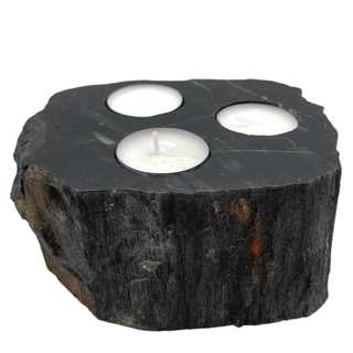 Petrified Wood Candle Holder - Triple - Giant Lobelia