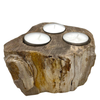 Petrified Wood Candle Holder - Triple - Giant Lobelia