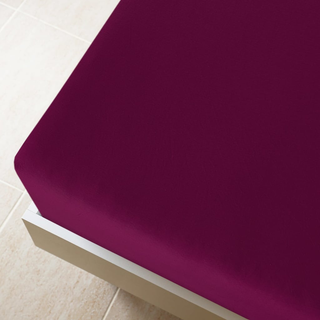 vidaXL Jersey Fitted Sheets 2 pcs Bordeaux 140x200 cm Cotton - Giant Lobelia