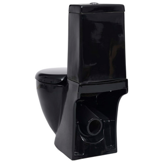 Ceramic Toilet Back Water Flow Black - Giant Lobelia