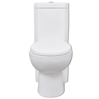 WC Ceramic Toilet Bathroom Corner Toilet White - Giant Lobelia