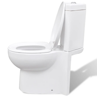 WC Ceramic Toilet Bathroom Corner Toilet White - Giant Lobelia