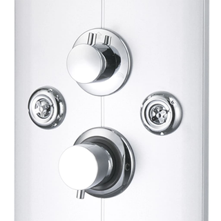 Shower Panel Unit 25x43x120 cm Silver - Giant Lobelia