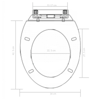 Soft-close Toilet Seat with Quick-release Design Black - Giant Lobelia