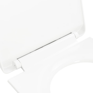 Soft-close Toilet Seat with Quick-release Design White - Giant Lobelia