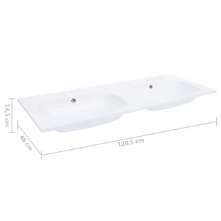 Built-in Double Wash Basin 1205x460x145 mm SMC White - Giant Lobelia