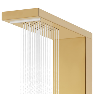 Shower Panel System Stainless Steel 201 Gold - Giant Lobelia