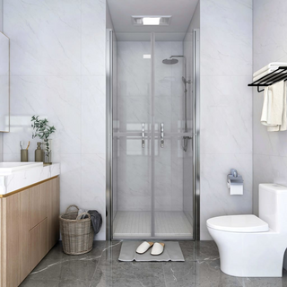 Shower Door Clear ESG 96x190 cm - Giant Lobelia