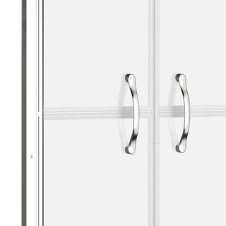 Shower Door Frosted ESG 81x190 cm - Giant Lobelia