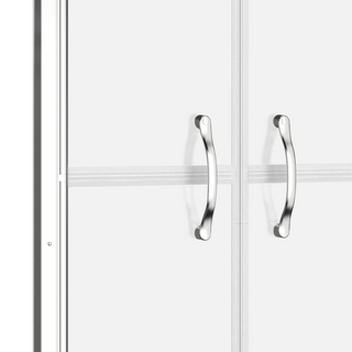 Shower Door Half Frosted ESG 101x190 cm - Giant Lobelia