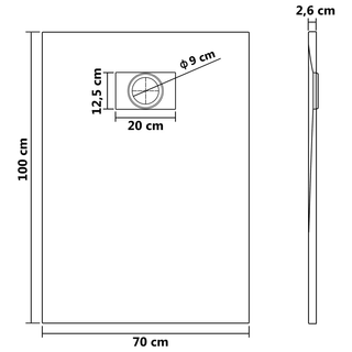 Shower Base Tray SMC Brown 100x70 cm - Giant Lobelia