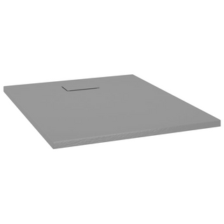Shower Base Tray SMC Grey 100x80 cm - Giant Lobelia