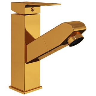 Bathroom Basin Faucet with Pull-out Function Gold 157x172 mm - Giant Lobelia