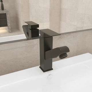 Bathroom Basin Faucet with Pull-out Function Grey 157x172 mm - Giant Lobelia