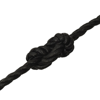 Work Rope Black 12 mm 50 m Polypropylene - Giant Lobelia