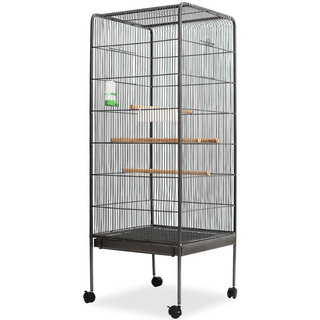 Bird Cage Black 54x54x146 cm Steel - Giant Lobelia