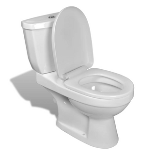 vidaXL Toilet With Cistern White - Giant Lobelia