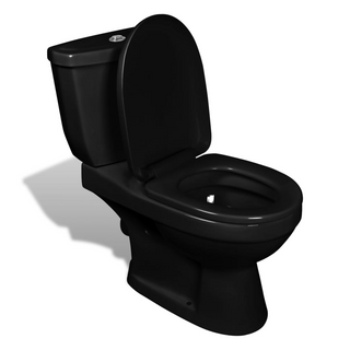 vidaXL Toilet With Cistern Black - Giant Lobelia