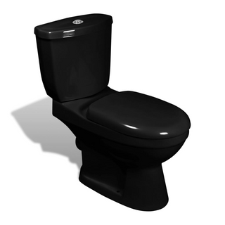 vidaXL Toilet With Cistern Black - Giant Lobelia