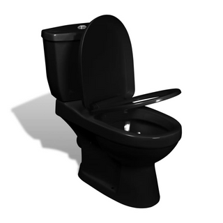 vidaXL Toilet With Cistern Black - Giant Lobelia