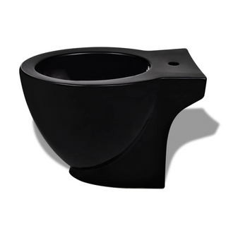 Stand Toilet & Bidet Set Black Ceramic - Giant Lobelia