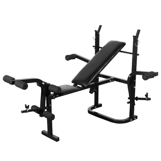 Weight Bench with Weight Rack, Barbell and Dumbbell Set 30.5kg - Giant Lobelia