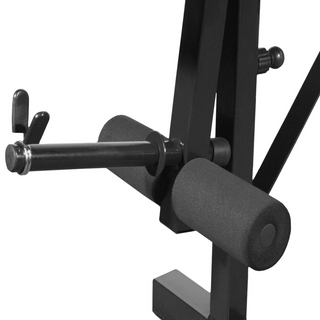 Weight Bench with Weight Rack, Barbell and Dumbbell Set 30.5kg - Giant Lobelia