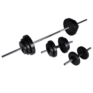 Weight Bench with Weight Rack, Barbell and Dumbbell Set 30.5kg - Giant Lobelia