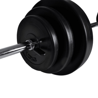 Weight Bench with Weight Rack, Barbell and Dumbbell Set 30.5kg - Giant Lobelia