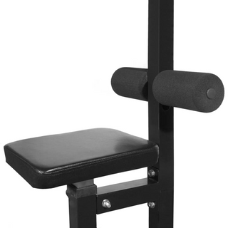 vidaXL Power Tower with Barbell and Dumbbell Set 30.5 kg - Giant Lobelia