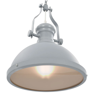 Ceiling Lamp Grey Round E27 - Giant Lobelia