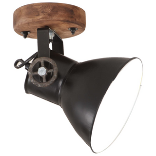 vidaXL Industrial Wall/Ceiling Lamps 2 pcs Black 20x25 cm E27 - Giant Lobelia