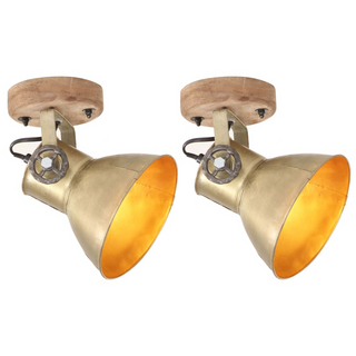 vidaXL Industrial Wall/Ceiling Lamps 2 pcs Brass 20x25 cm E27 - Giant Lobelia