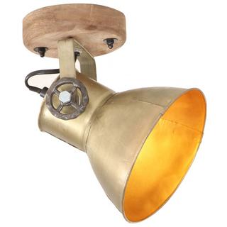 vidaXL Industrial Wall/Ceiling Lamps 2 pcs Brass 20x25 cm E27 - Giant Lobelia