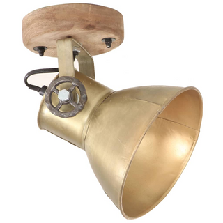 vidaXL Industrial Wall/Ceiling Lamps 2 pcs Brass 20x25 cm E27 - Giant Lobelia