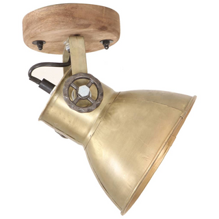 vidaXL Industrial Wall/Ceiling Lamps 2 pcs Brass 20x25 cm E27 - Giant Lobelia