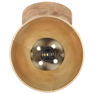 vidaXL Industrial Wall/Ceiling Lamps 2 pcs Brass 20x25 cm E27 - Giant Lobelia