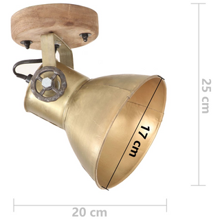 vidaXL Industrial Wall/Ceiling Lamps 2 pcs Brass 20x25 cm E27 - Giant Lobelia