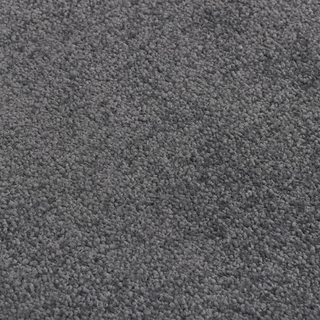 Doormat Anthracite 80x120 cm - Giant Lobelia