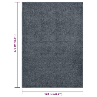 vidaXL Rug Short Pile 120x170 cm Anthracite - Giant Lobelia