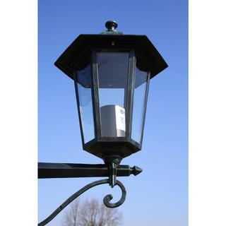 vidaXL Garden Light Post 2-arms 215 cm Dark Green/Black Aluminium - Giant Lobelia