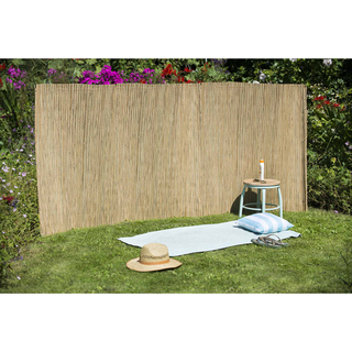 Nature Garden Fence Sedge Reed 1x3 m - Giant Lobelia