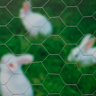 Nature Wire Mesh Hexagonal 0.5x2.5 m 25 mm Galvanised Steel - Giant Lobelia