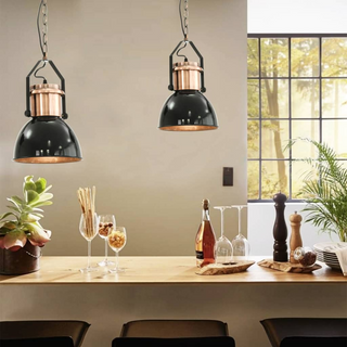 Ceiling Lamp 2 pcs Black Round E27 - Giant Lobelia